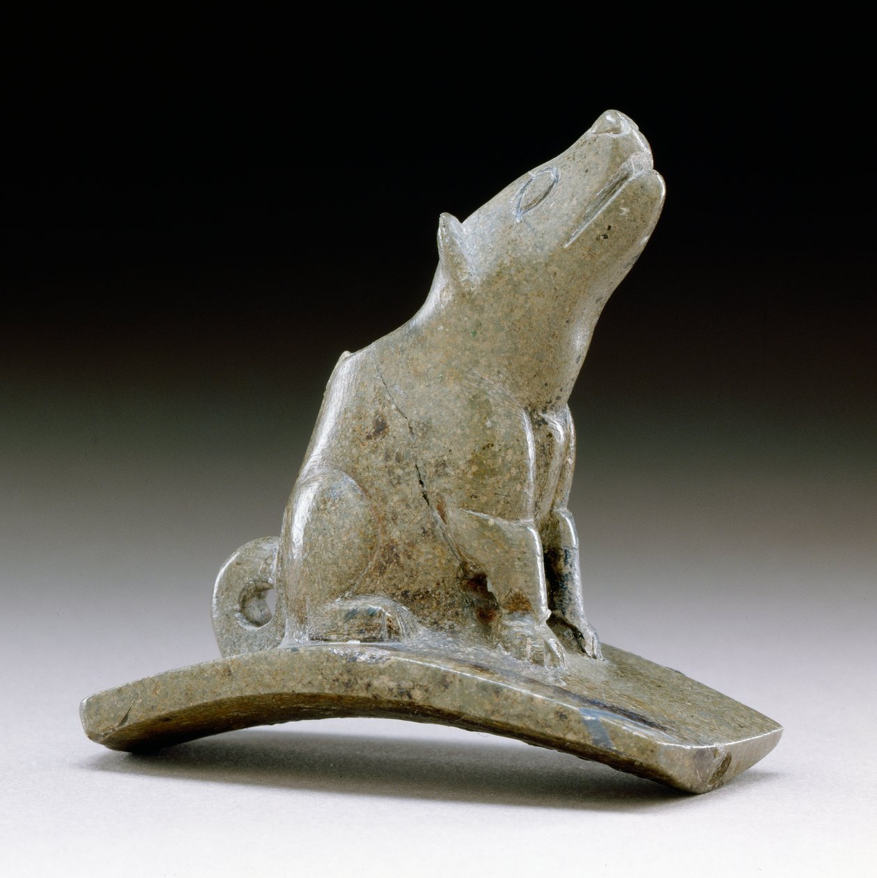 ಕೊಯೊಟೆ ಪ್ಲಾಟ್‌ಫಾರ್ಮ್ ಪೈಪ್, 200 BC-100 AD (ಪೈಪ್‌ಸ್ಟೋನ್)ಟರ್ಕ್ by Ohio Hopewell culture