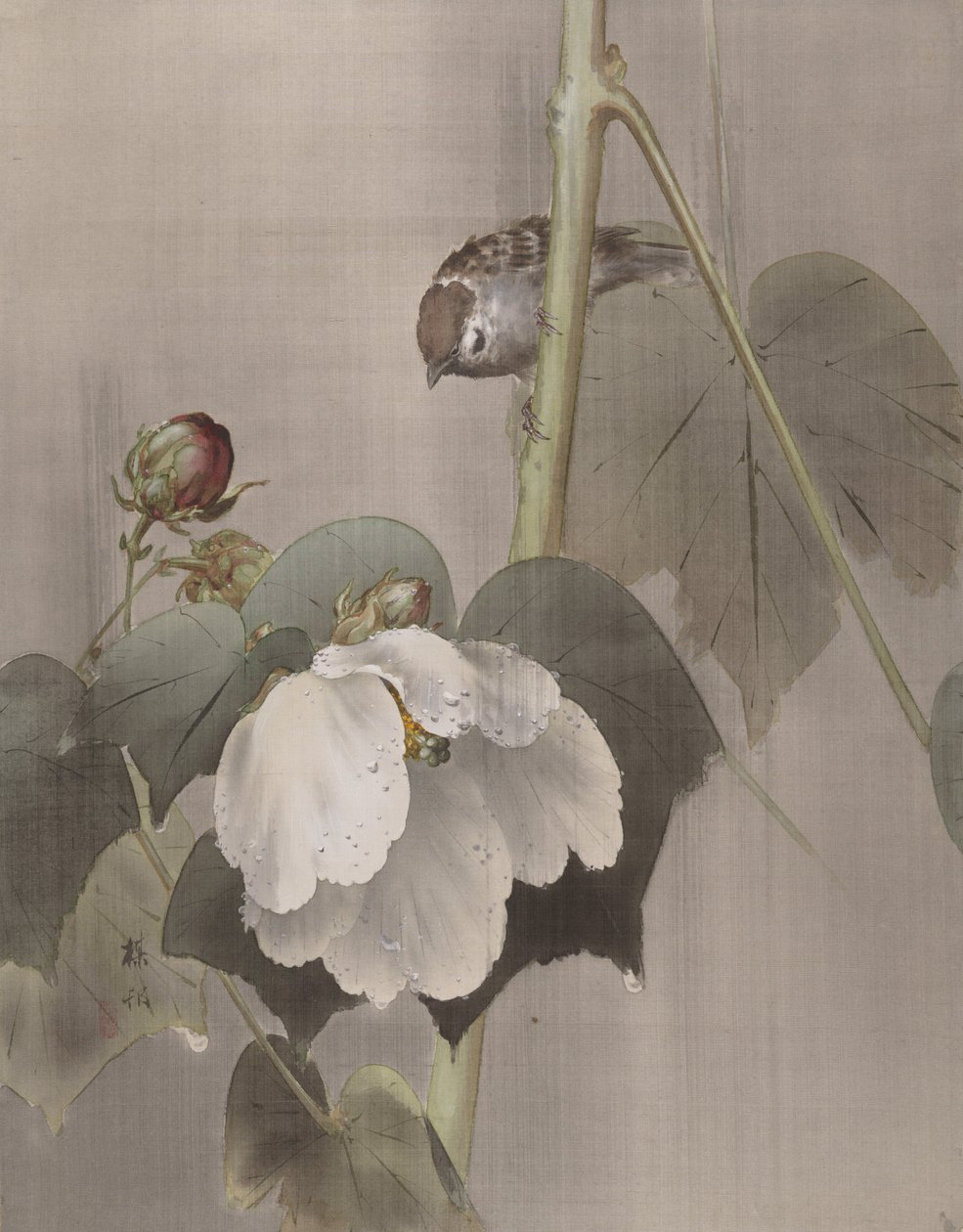 Pamuk Gül Ebegümeci Yağmurda, ca. 1891-92. by Okada Baison
