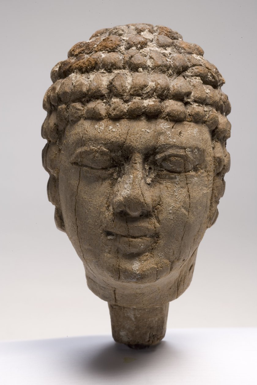 Bir adamın başı (tahta) (ayrıca bkz. 249003-4 ve 249006) by Old Kingdom Egyptian