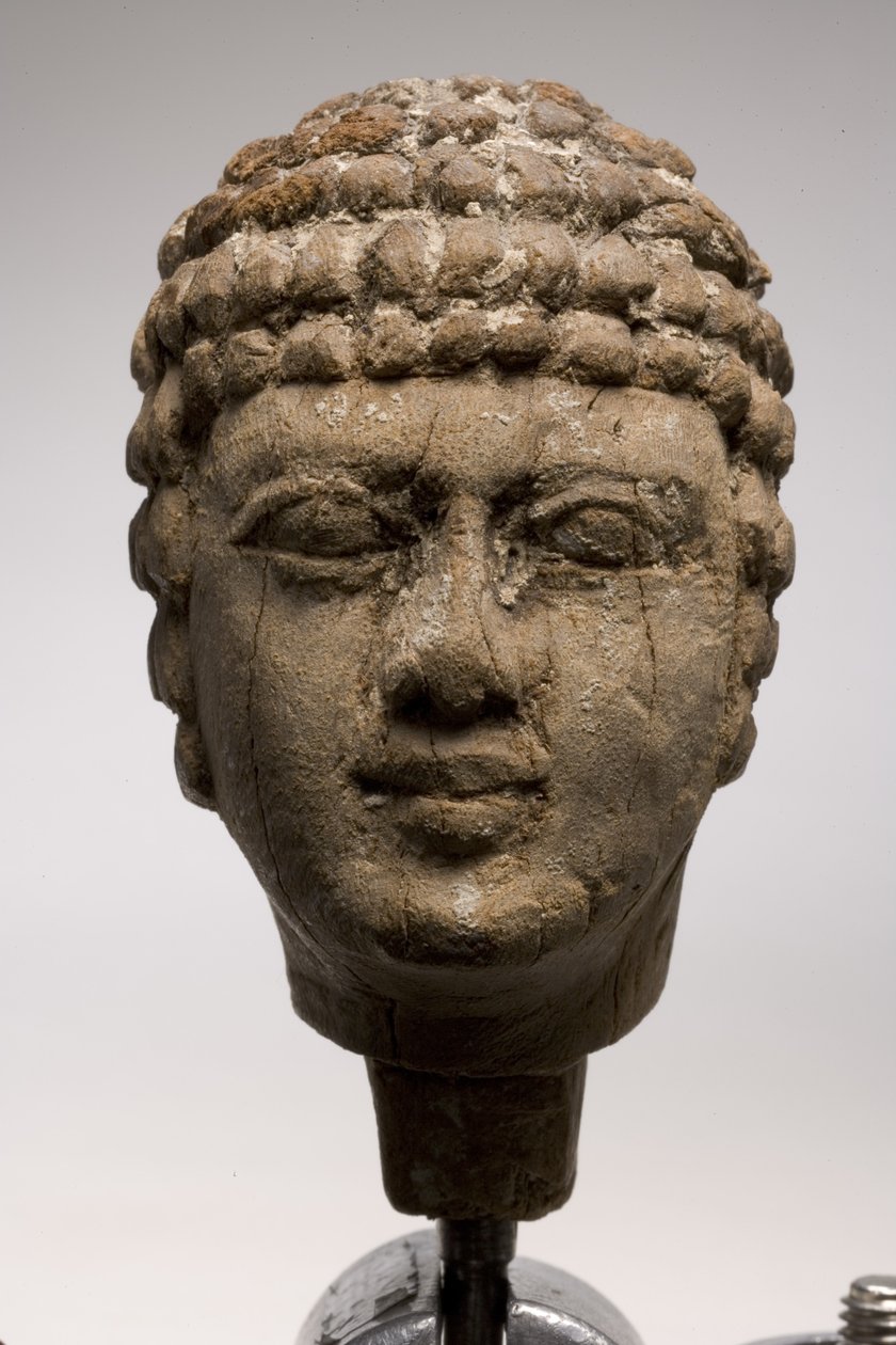 Bir adamın başı (tahta) (ayrıca bkz. 249003 & 249005-6) by Old Kingdom Egyptian