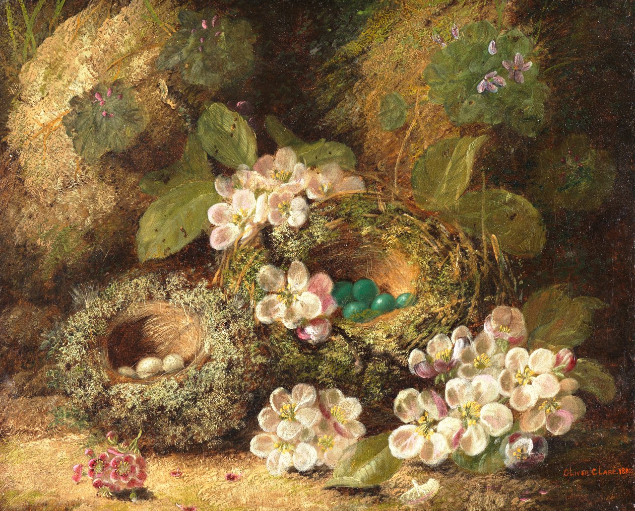 Yosunlu Bir Bankada Primroses ve Kuş Yuvaları, 1882 by Oliver Clare