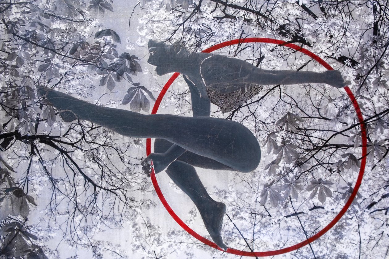 Aeralist, 2021 (tuval üzerine karışık teknik) by Olivia Gozzano