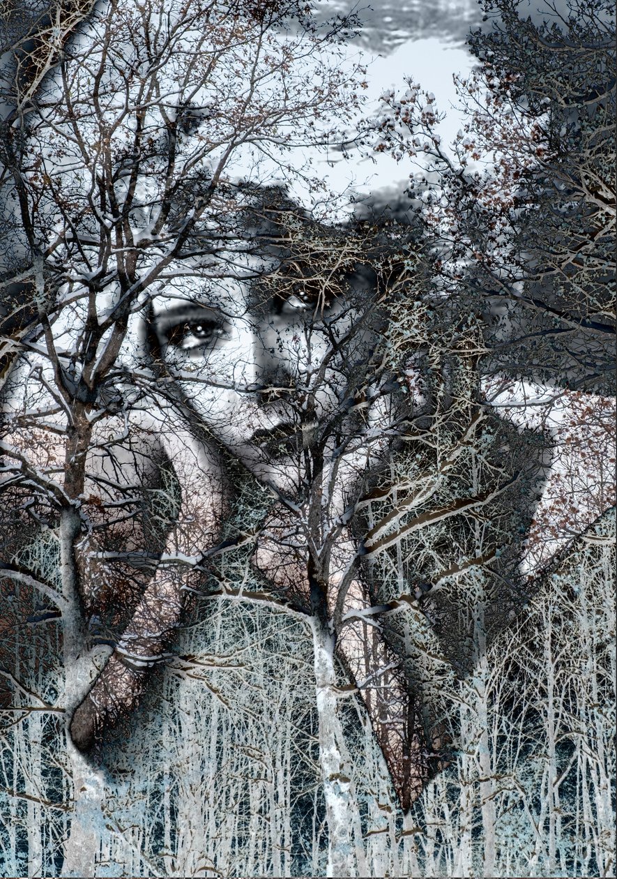 Negatifte kış portresi, 2021 (dijital karışık medya) by Olivia Gozzano