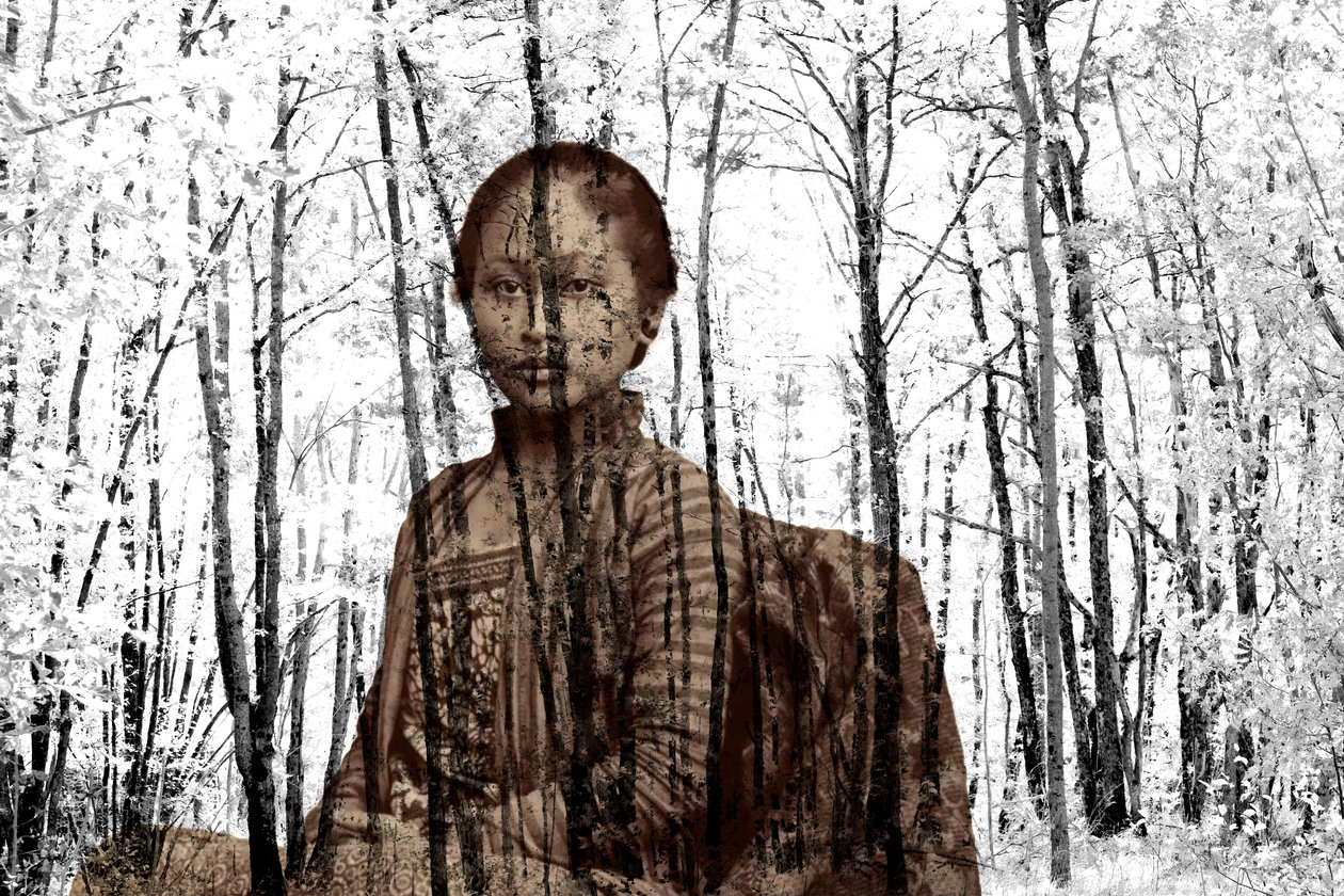 Dallar arasında portre, 2024 (dijital karışık teknik) by Olivia Gozzano