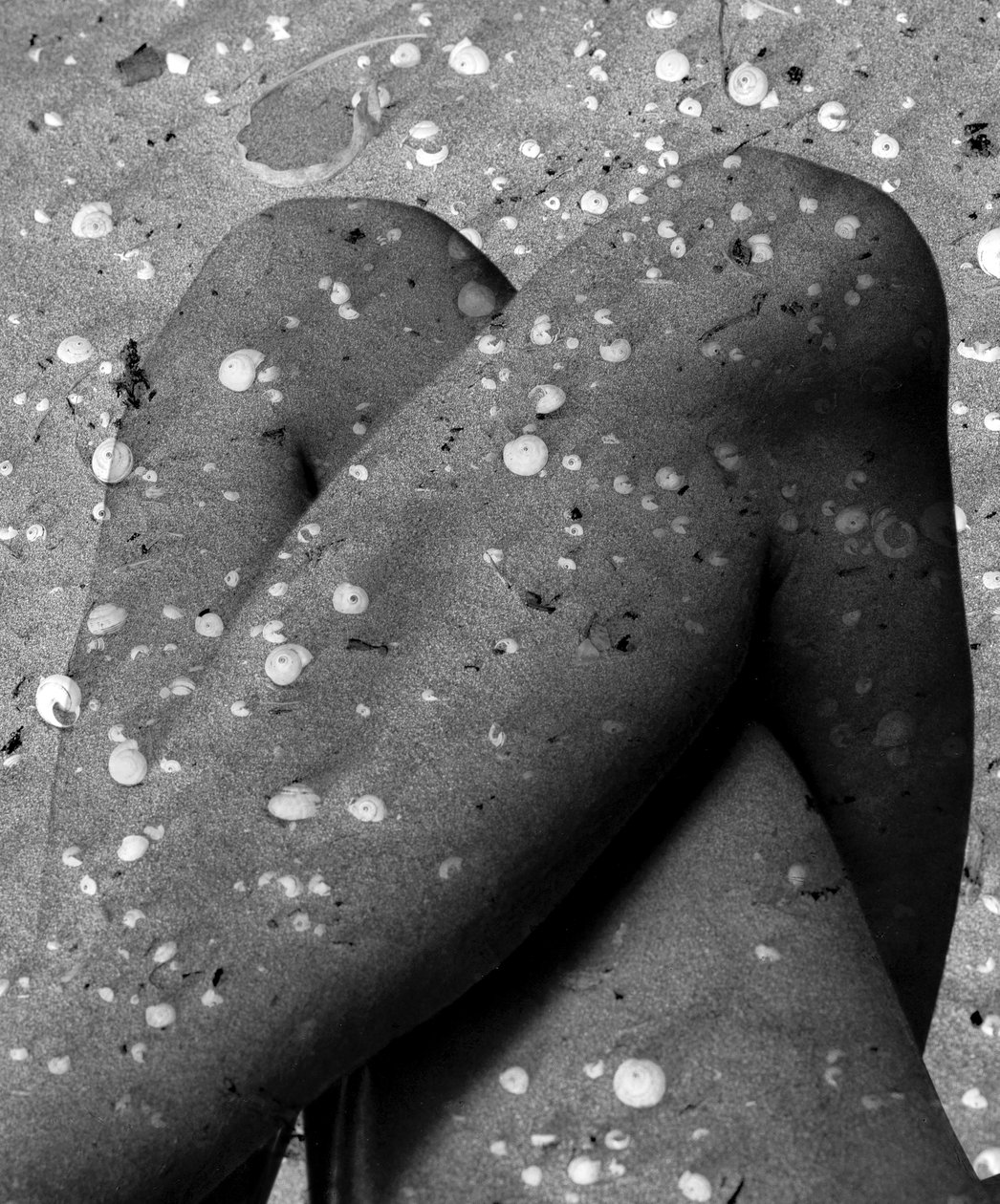 Kabuk bacaklar, 2019 (dijital karışık teknik) by Olivia Gozzano