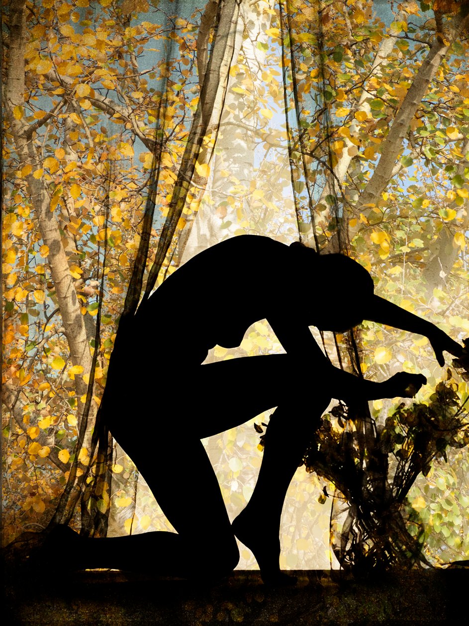  by Olivia Gozzano