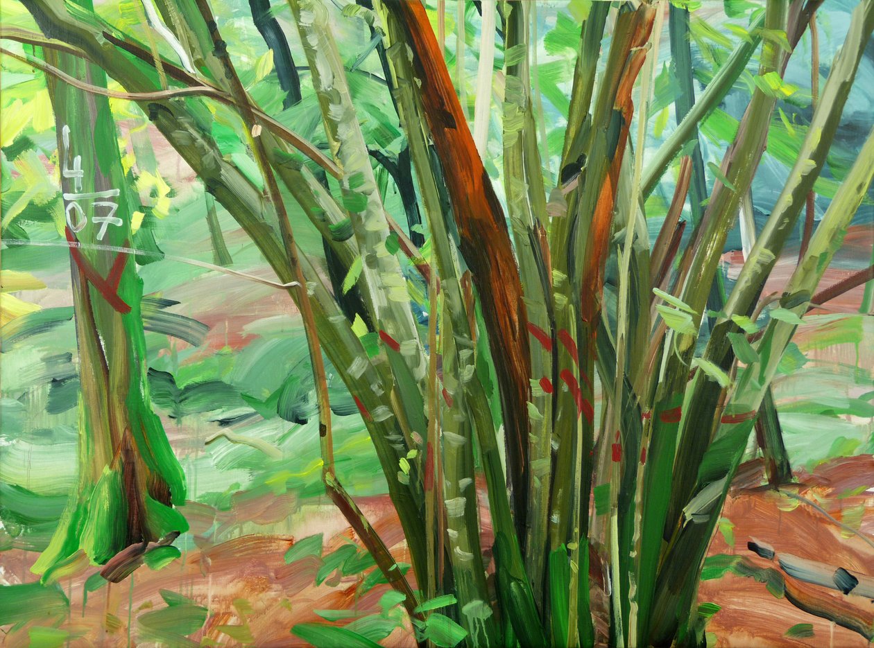 Forest 8 le-9-janvier-2015 ,2015 (tuval üzerine akrilik) by Olivier Morel