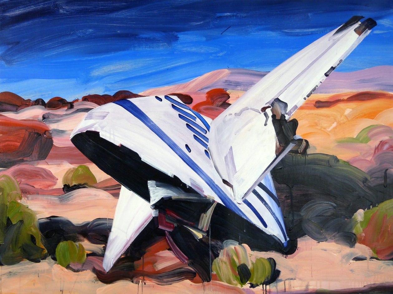 Uzay fethi, 2015 (tuval üzerine akrilik) by Olivier Morel