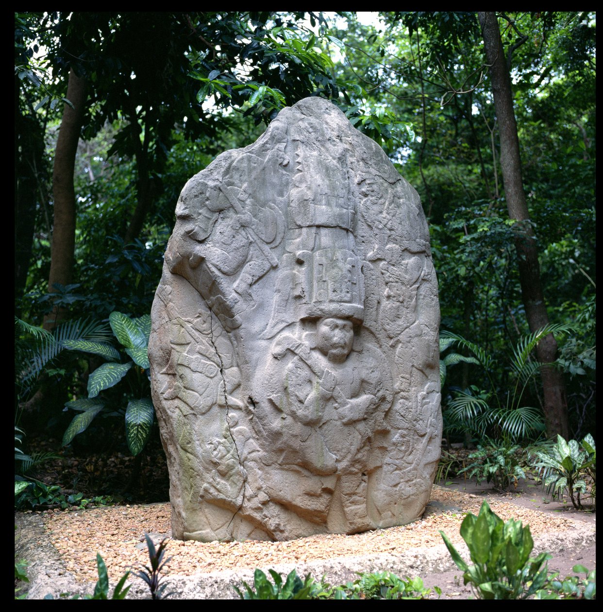 Stel 2, Klasik Öncesi Dönem by Olmec