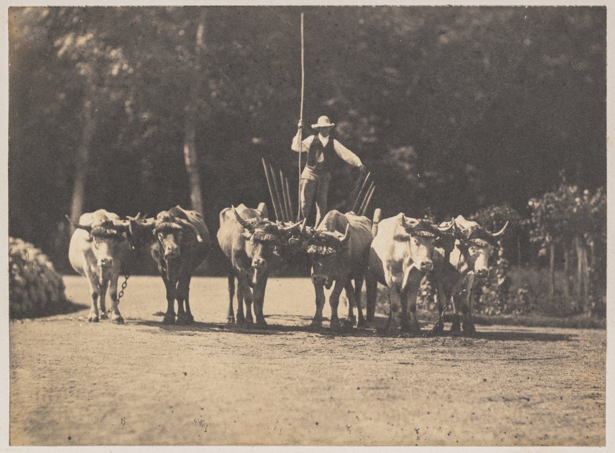 Altı Öküz Takımı, Sürücüsü ile, c. 1853. by Olympe Aguado