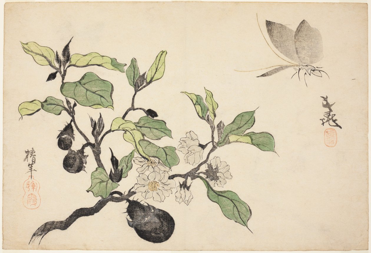  by Onishi Chinnen