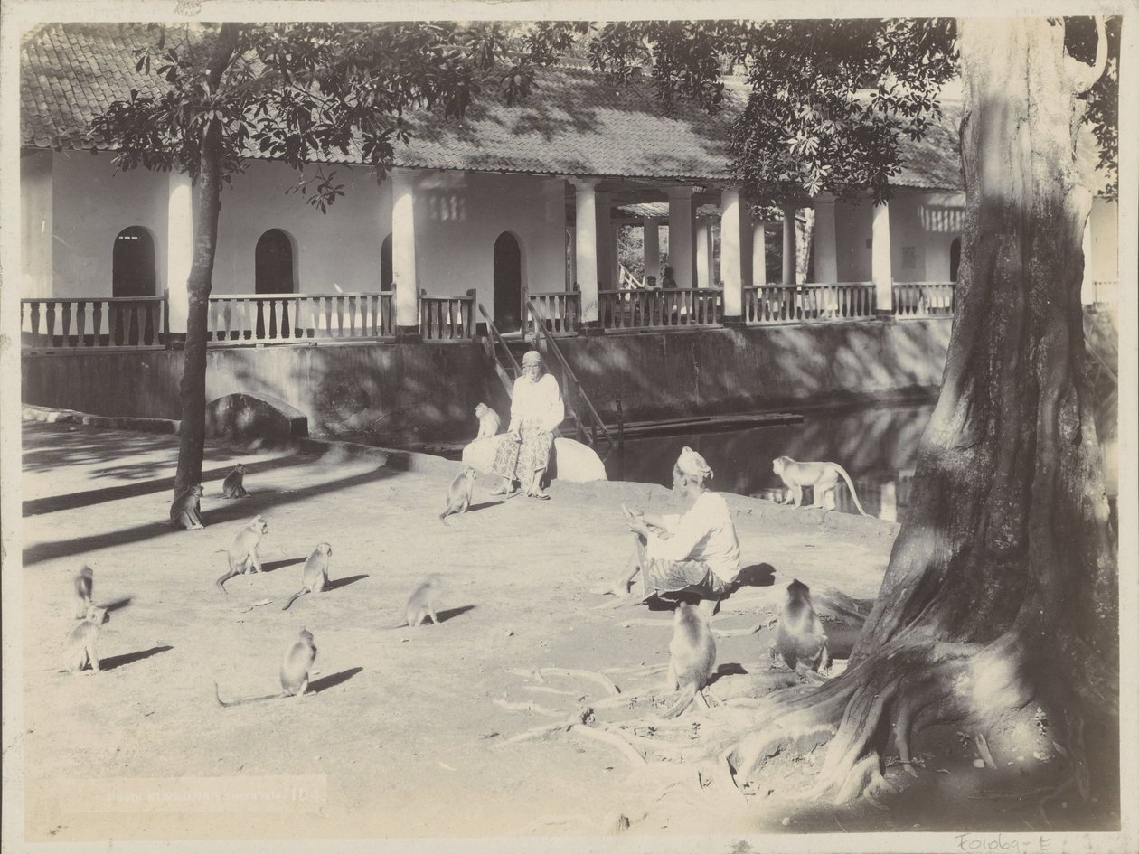 Muhtemelen Surabaya