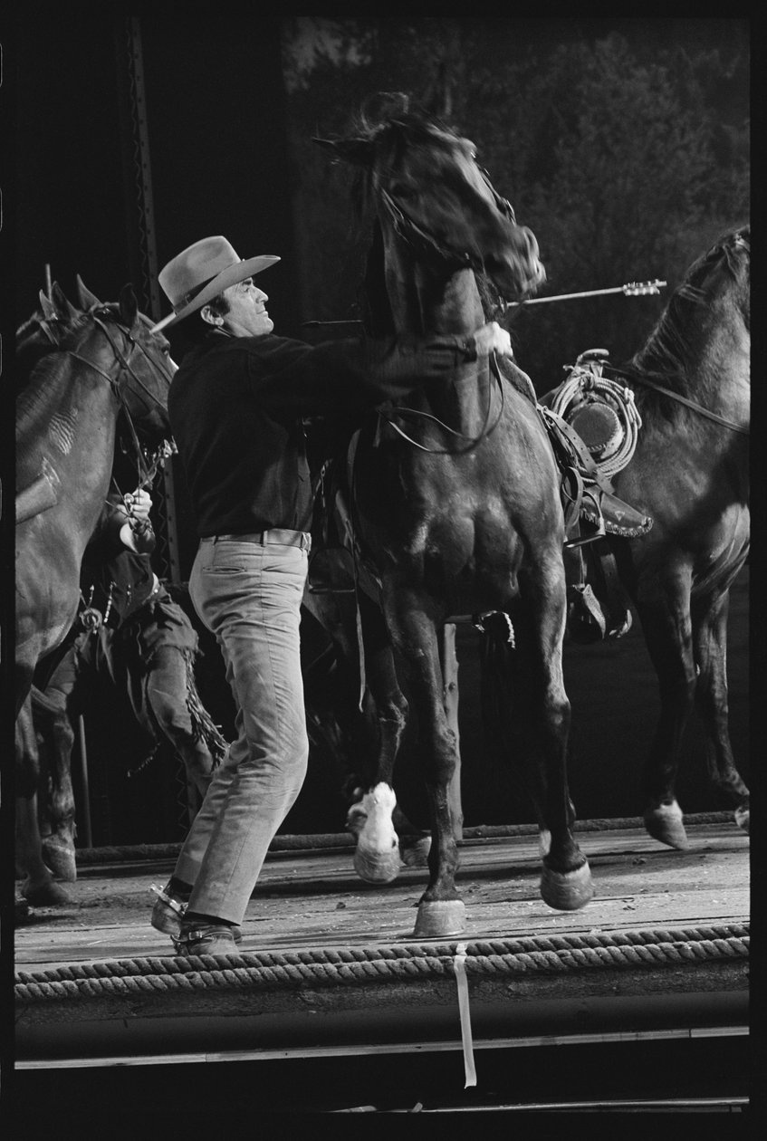 Gregory Peck 