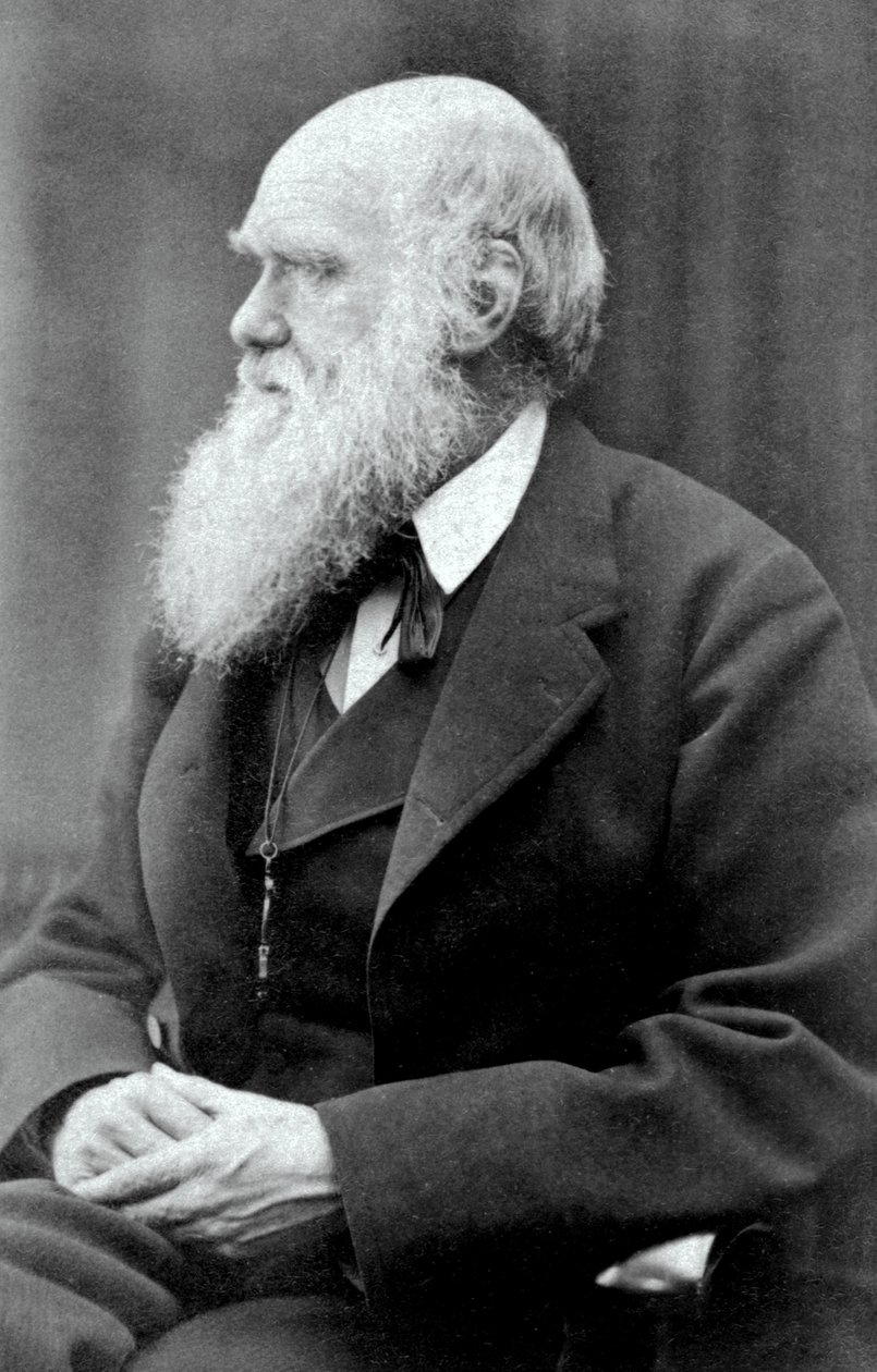 Charles Darwin, 1875 by Oscar Gustav Rejlander