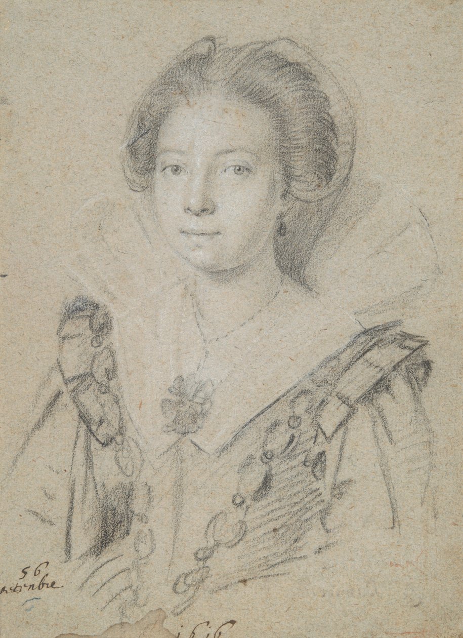 Anjou Evi