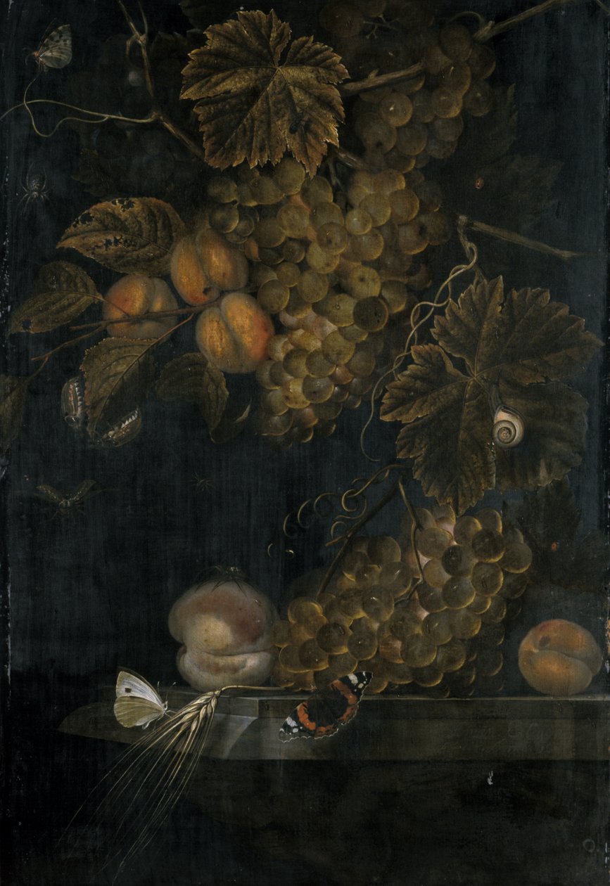 şeftali ve üzüm ile natürmort, 1665 by Ottmar the Elder Elliger
