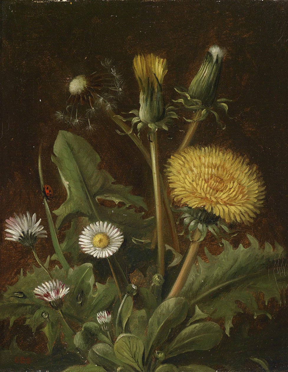 Karahindiba ile natürmort by Otto Didrik Ottesen