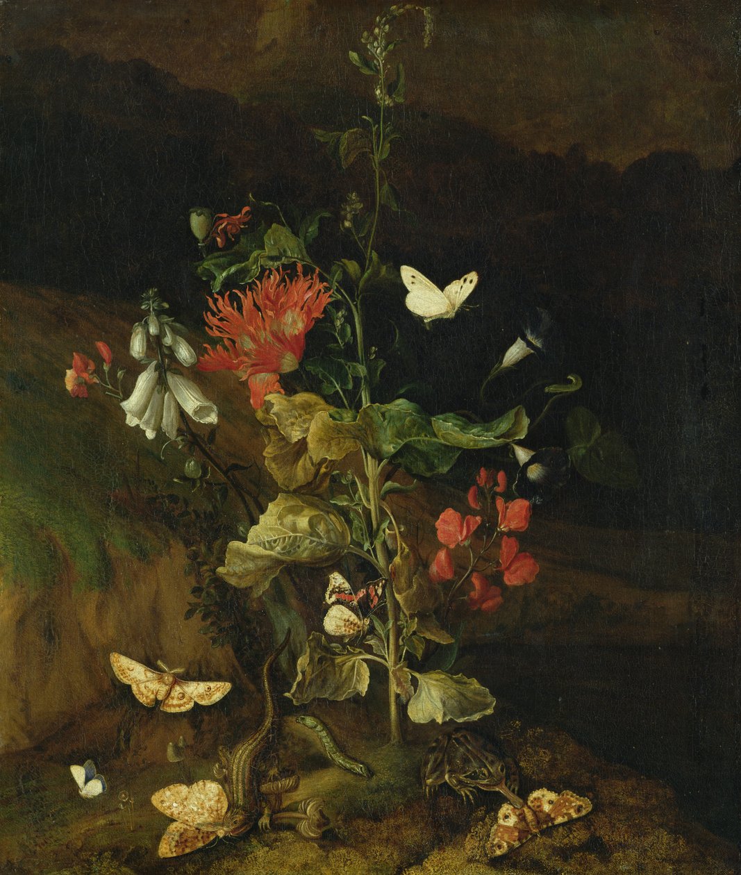 Çiçek Çalışması by Otto Marseus  van Schrieck