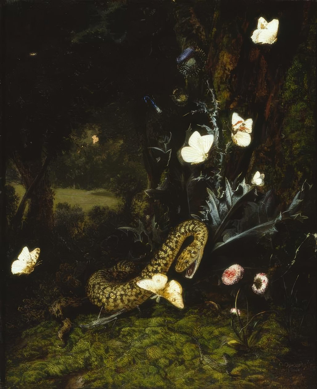 Bir devedikeni yakınında çekirge, yılan ve kelebekler by Otto Marseus  van Schrieck