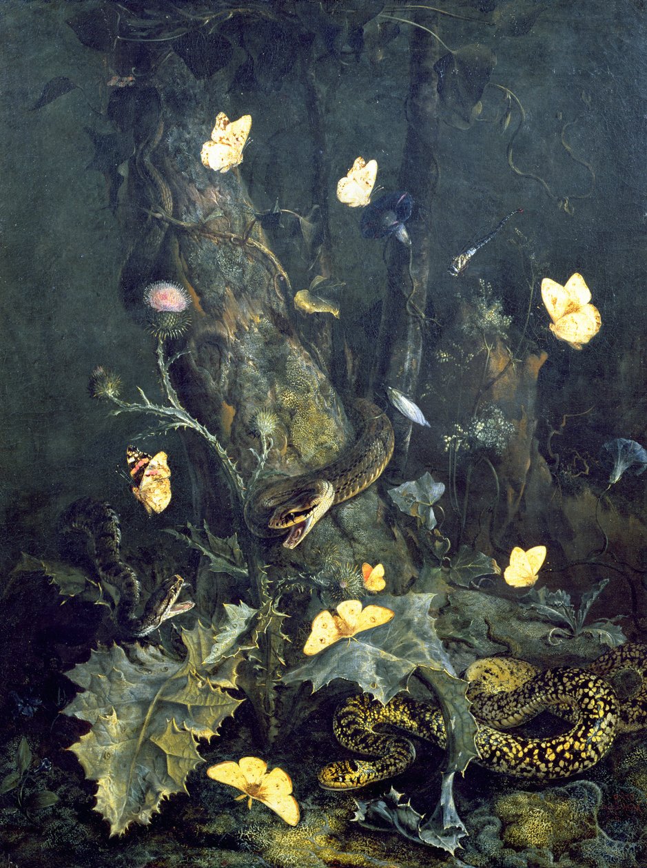 Yılanlar ve Kelebekler, 1670 by Otto Marseus  van Schrieck