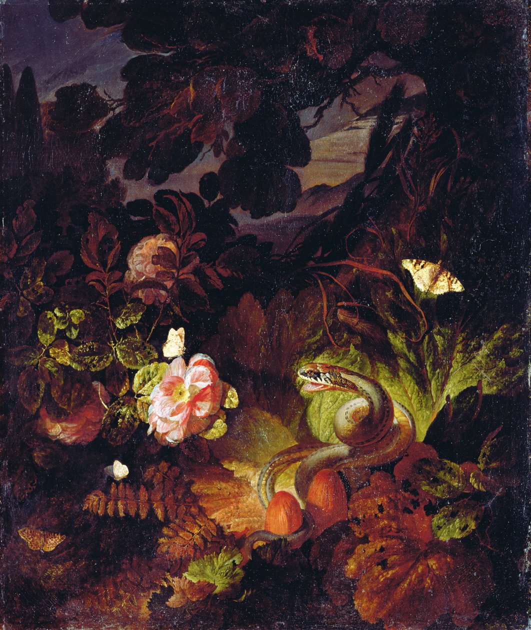Çiçekler, Yılan ve Kelebekler by Otto Marseus  van Schrieck