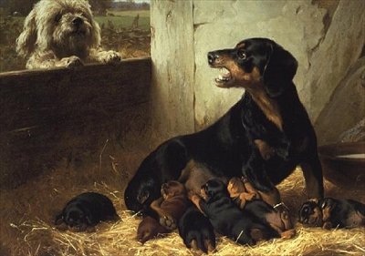 İstenmeyen Ziyaretçi by Otto Bache