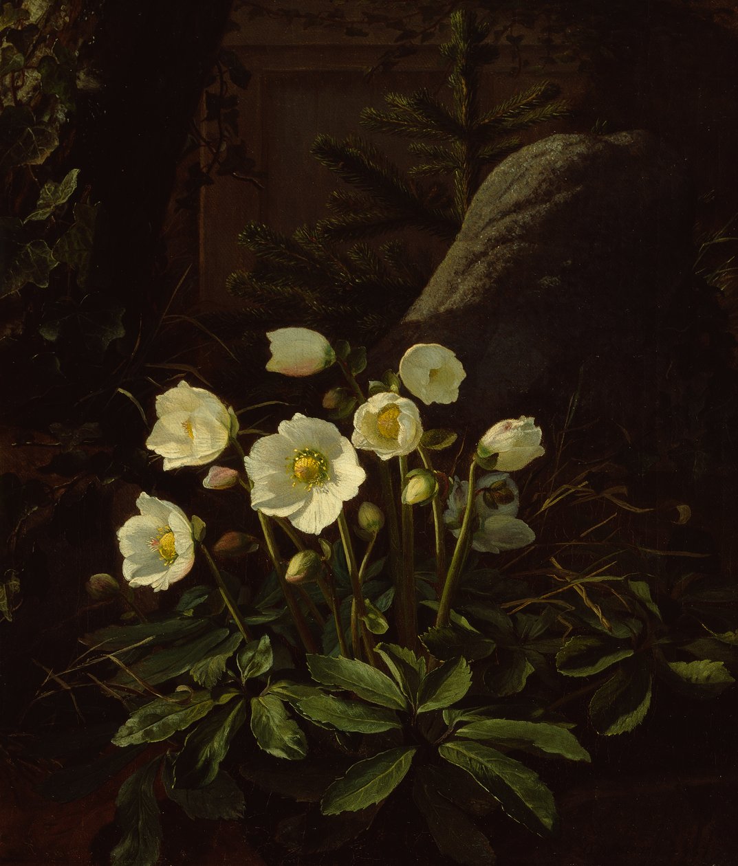 Rockery