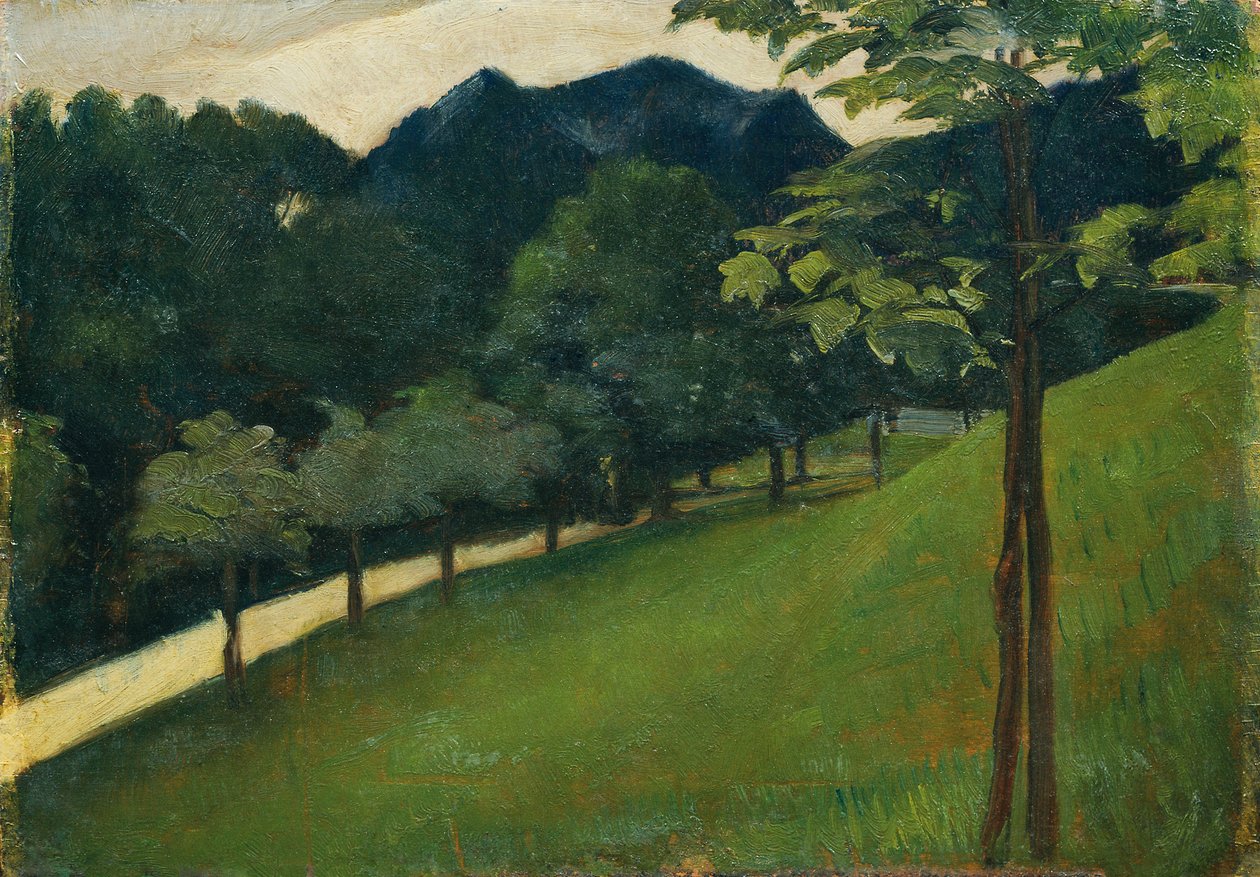 Yeşil bir yokuştan bir caddeye doğru görünüm by Otto Friedrich