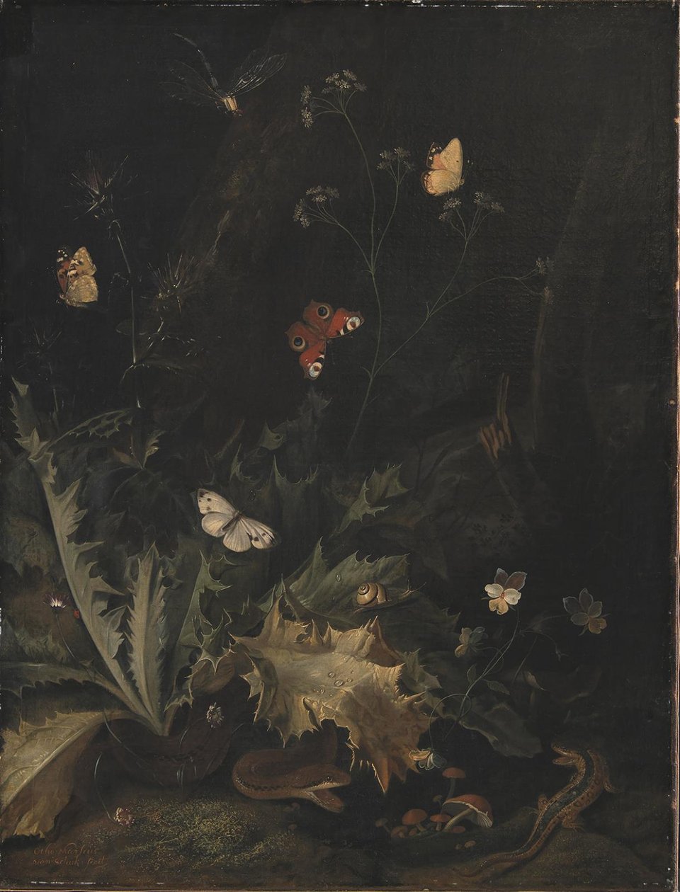 Devedikeni, Yılan, Kertenkele ve Kelebeklerin Olduğu Orman Zemini by Otto Marseus  van Schrieck