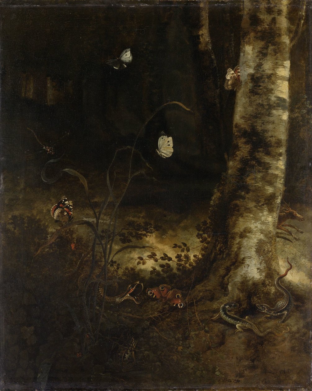 Yılan, Kertenkele, Kelebek ve Diğer Böceklerin Bulunduğu Orman Zemini by Otto Marseus  van Schrieck