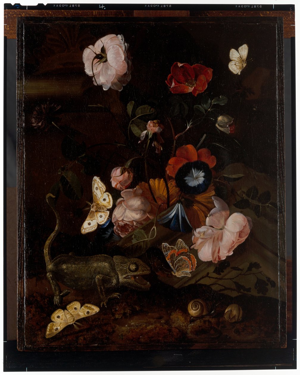 Orman Natürmort by Otto Marseus  van Schrieck