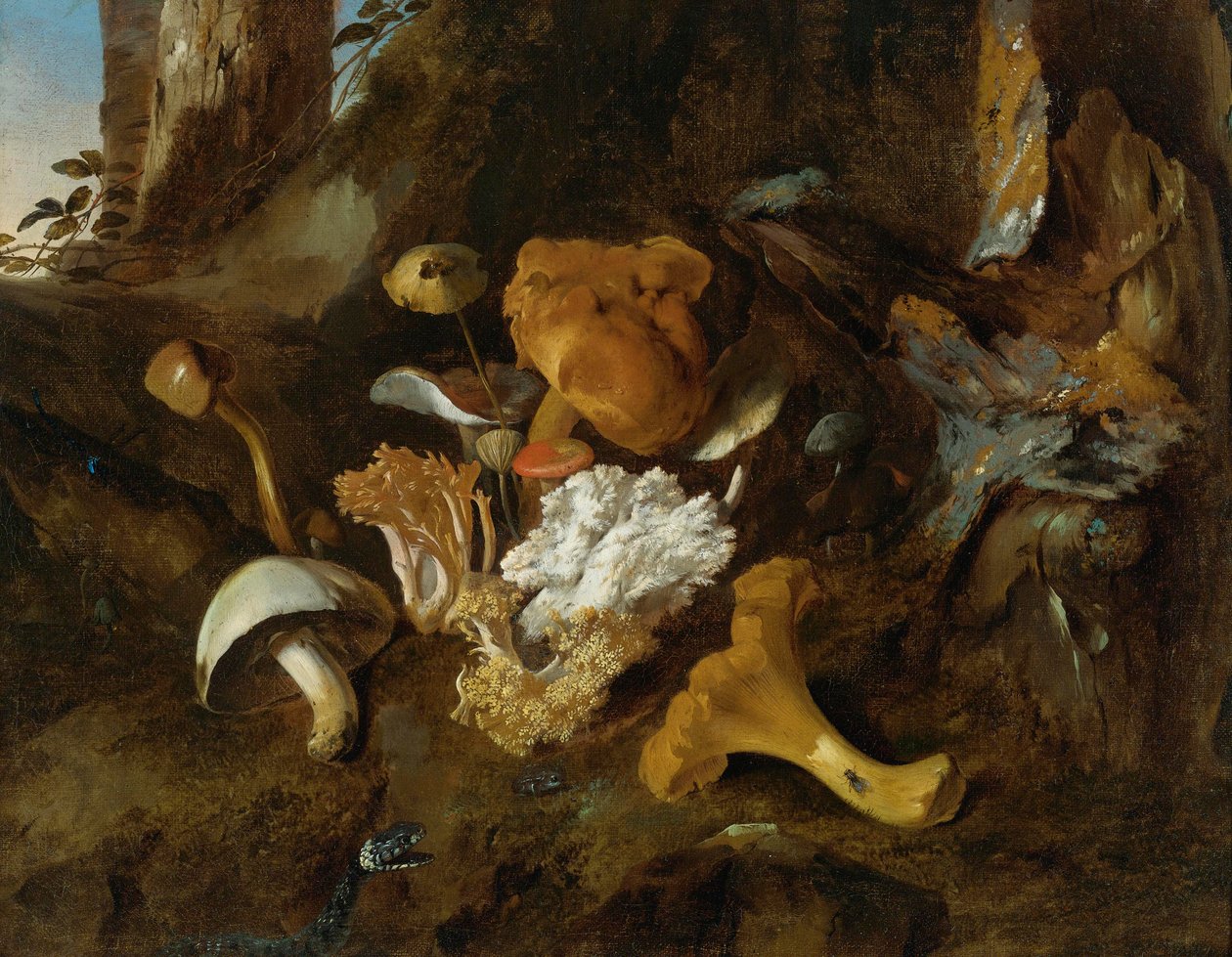 Mantar, kelebek ve yılan ile orman zemini natürmort by Otto Marseus  van Schrieck