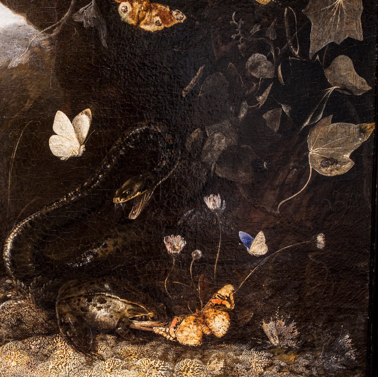 Yılanlar, Kurbağalar ve Kelebekler by Otto Marseus van Schrieck