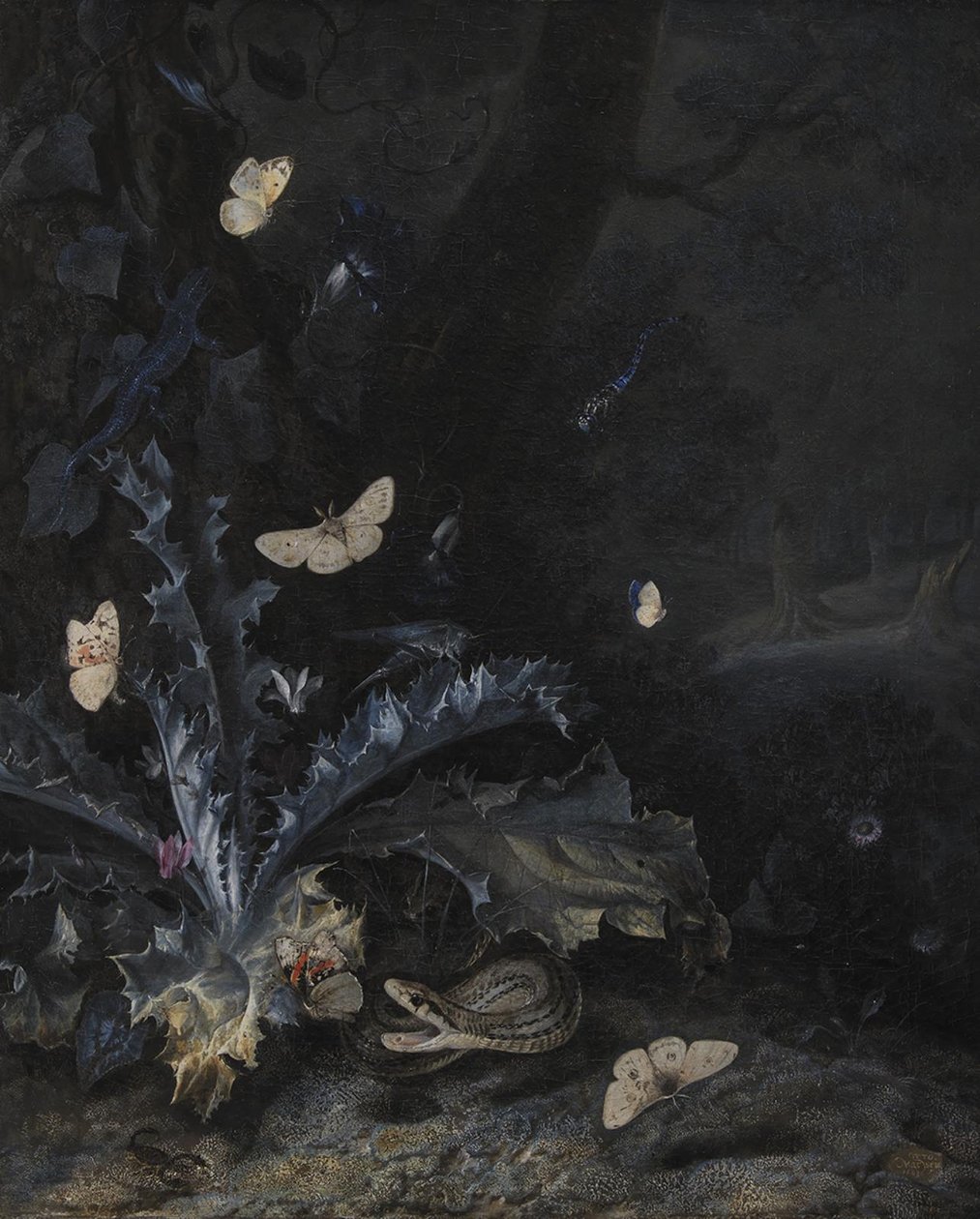 Devedikeni ve Yılan ile Natürmort by Otto Marseus  van Schrieck