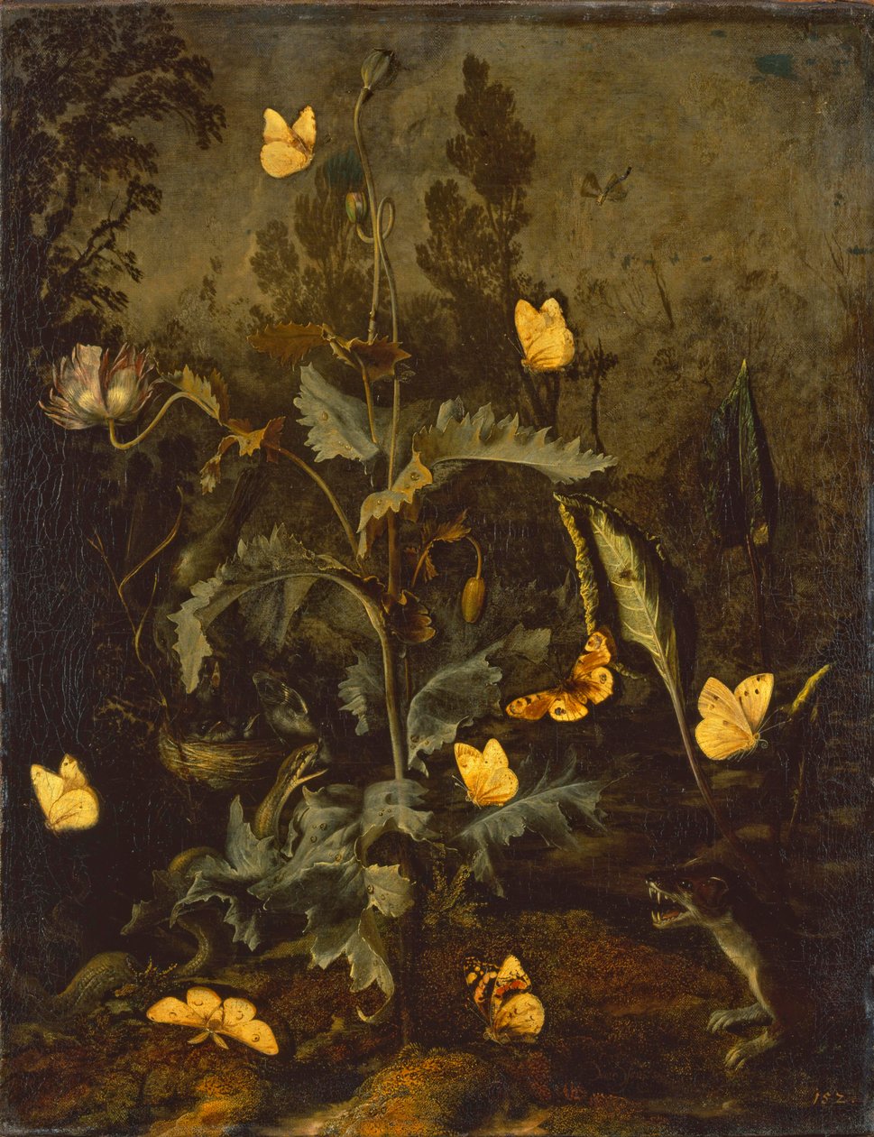 Kuş yuvasındaki yılan / Kuş yuvası, yılan, kelebekler ve en az gelincik ile haşhaş by Otto Marseus  van Schrieck