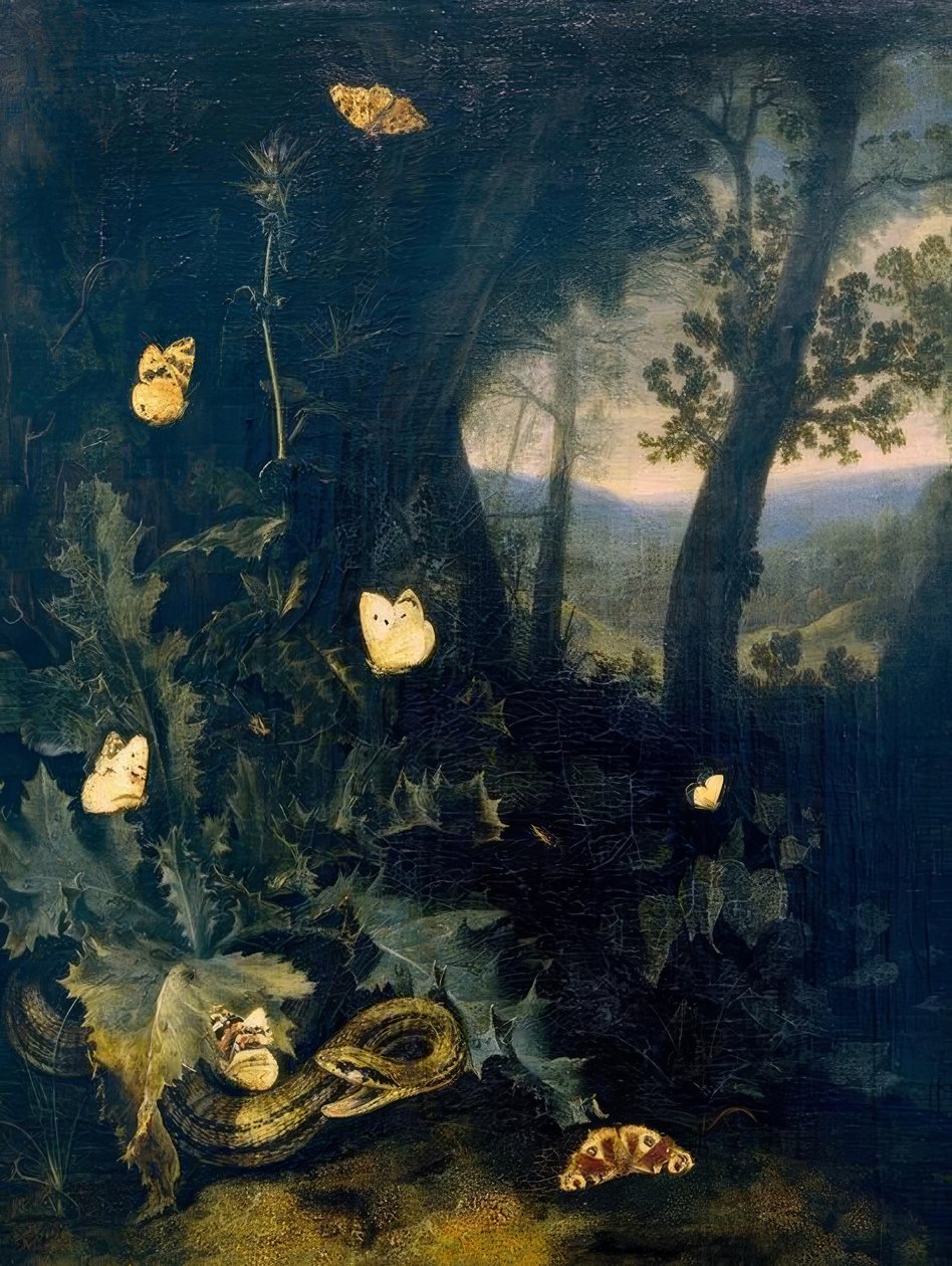 Devedikeni ve yılan ile orman zemini by Otto Marseus  van Schrieck