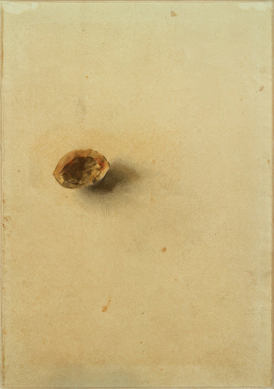Nussscale by Otto Meyer Amden