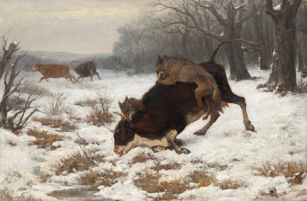 Bir inek kurtlar tarafından saldırıya uğradı by Otto von Thoren