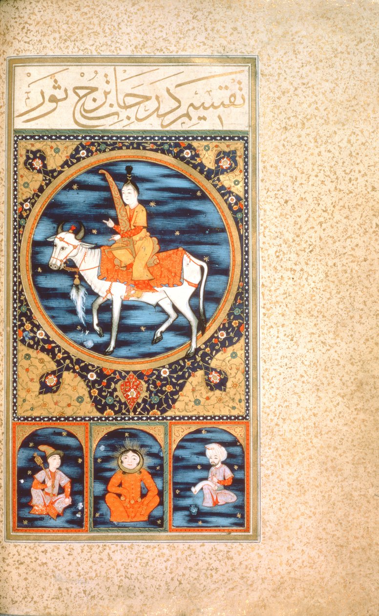 SUF.TURE 242 f.10v Boğa by Ottoman School