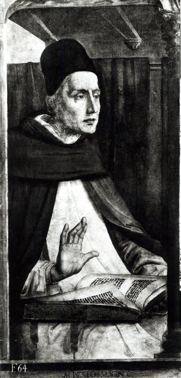 Albertus Magnus