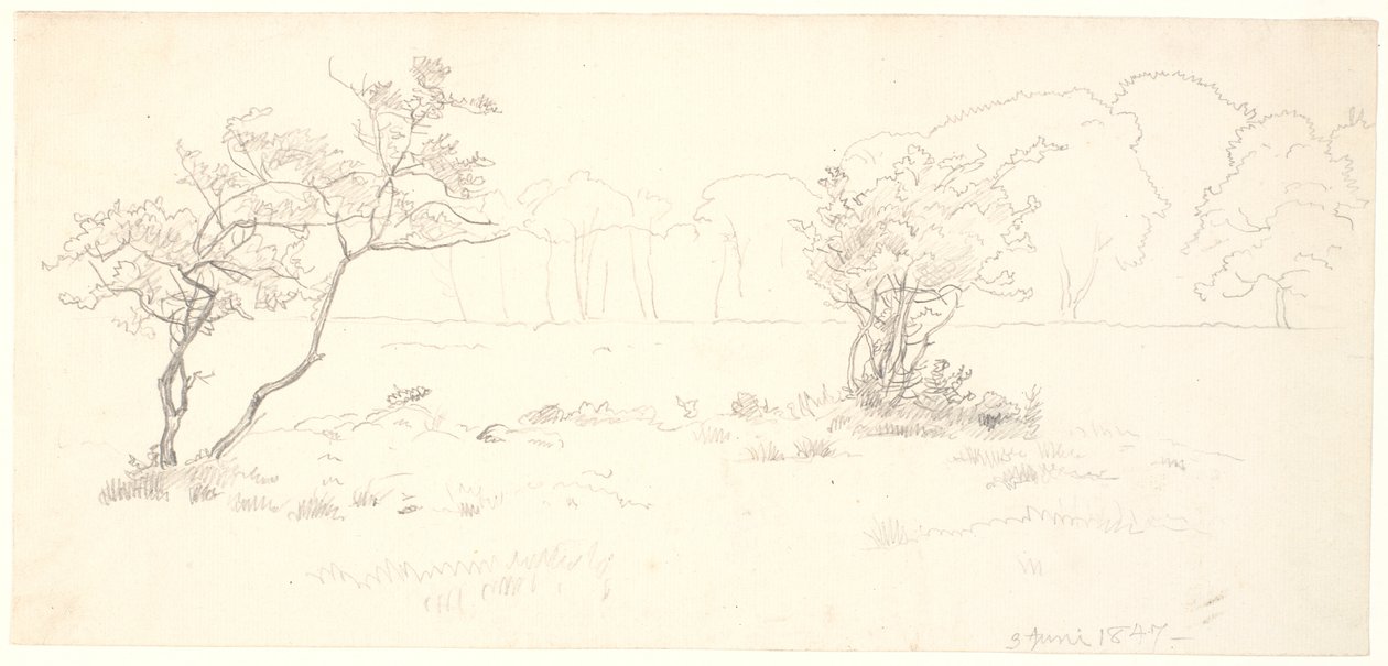 Dyrehaven
