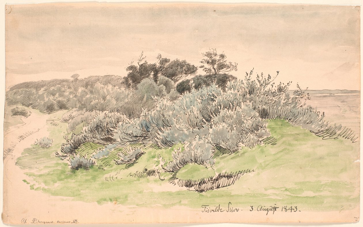 Peyzaj ile bodur. by P.C. Skovgaard