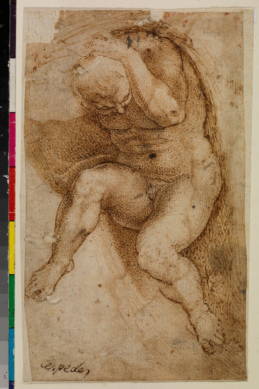 Çıplak erkek figürü (Michelangelo