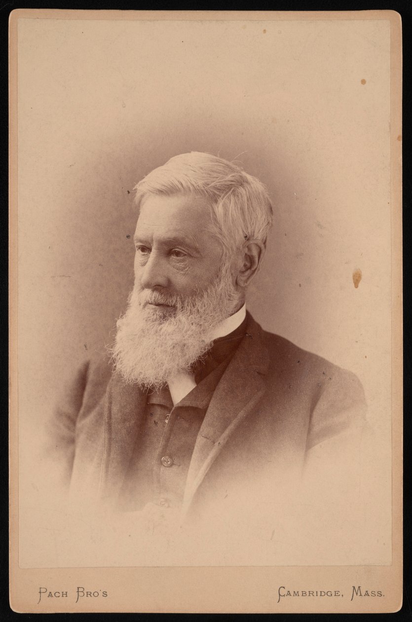 Asa Gray'in Portresi 1810-1888, Mart 1887. by Pach Bros