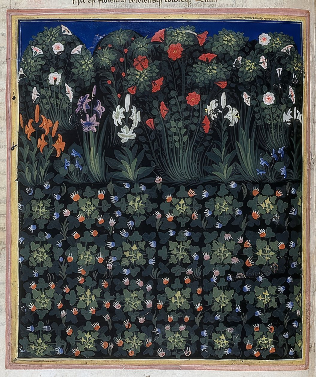 Bahçe (Regia Carmina, Convenevole da Prato
