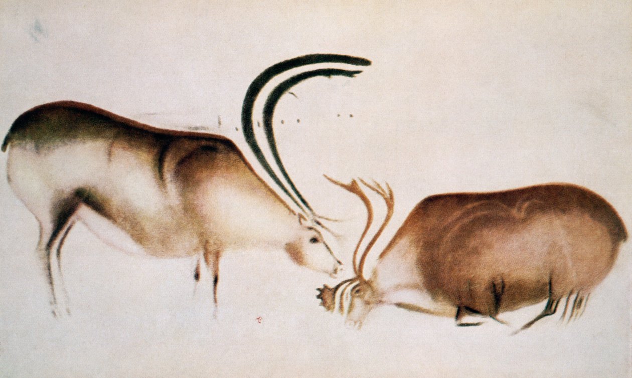 Erkek ve dişi geyik, Magdalenian okulu, MÖ 13000 dolayları (mağara resmi) by Paleolithic
