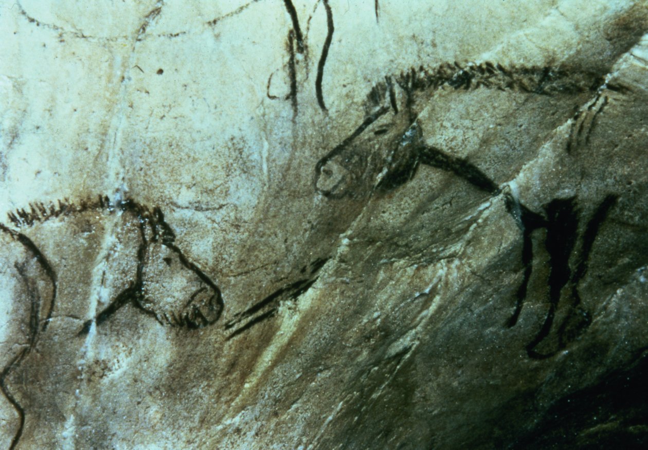 Atlar, Kara Oda'daki kaya resimleri, Magdalenian (mağara resmi) by Paleolithic Paleolithic