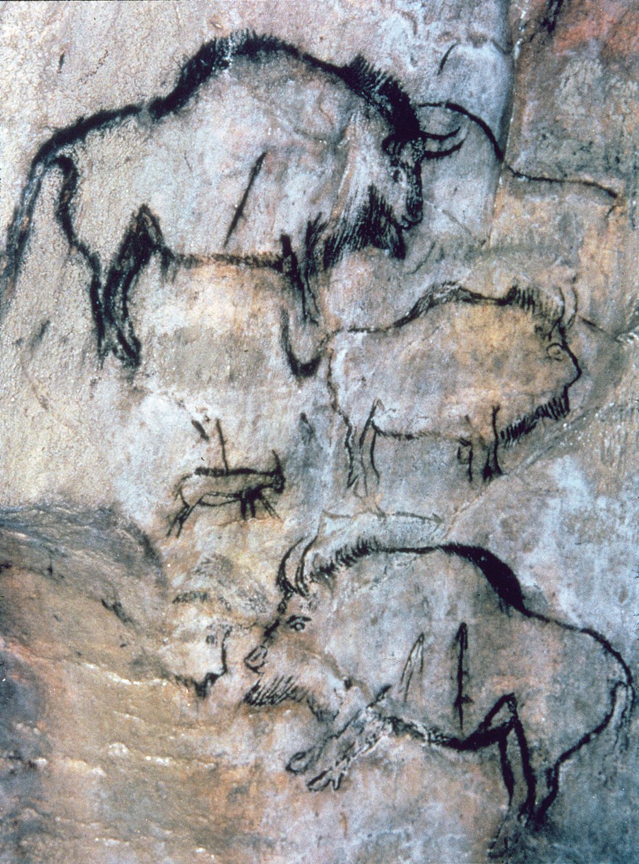 Yaralı Bizon, Magdalenian (mağara resmi) by Paleolithic Paleolithic