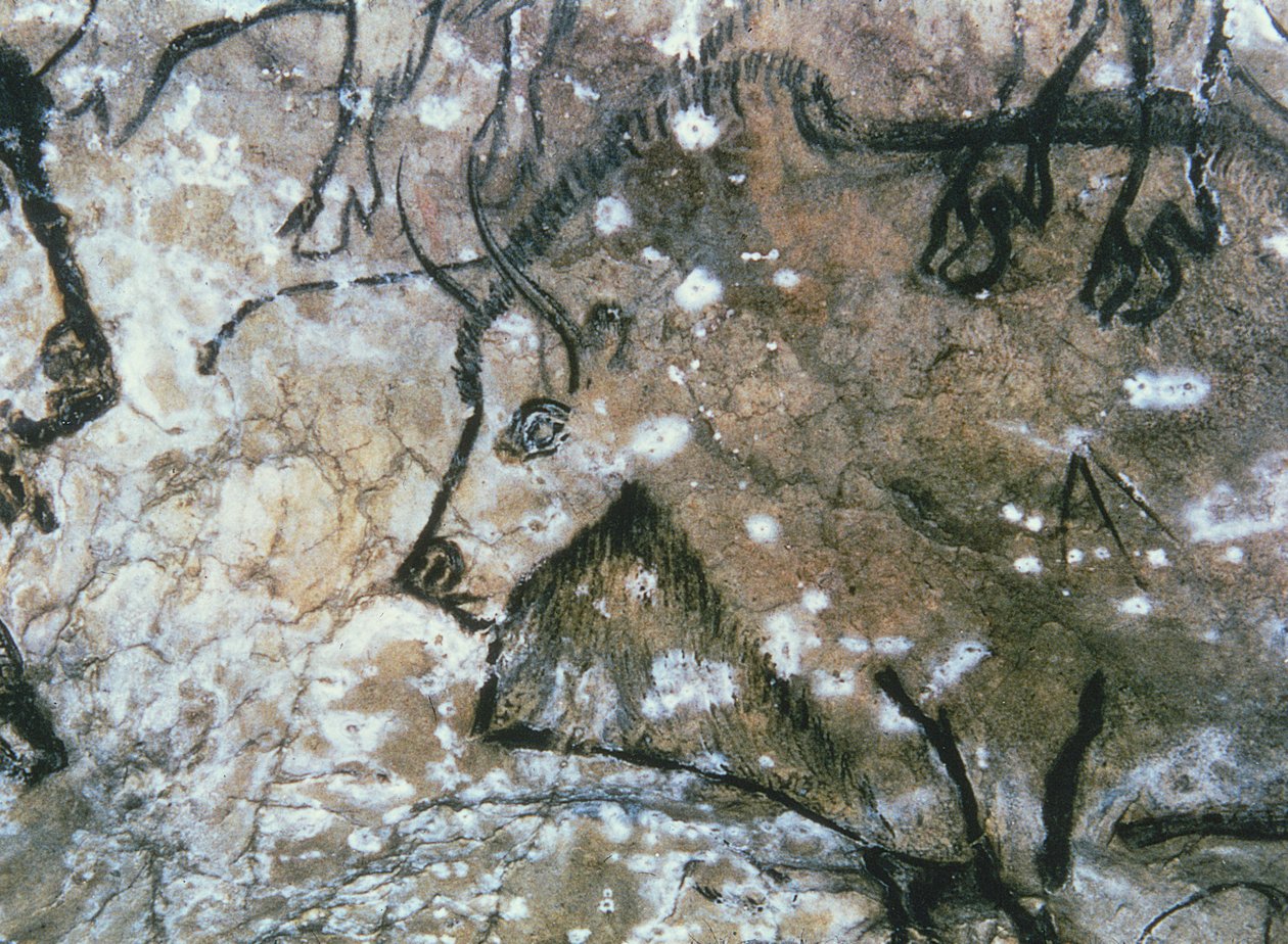 Yaralı Boğa, kaya resmi, Magdalenian (mağara resmi) by Paleolithic Paleolithic
