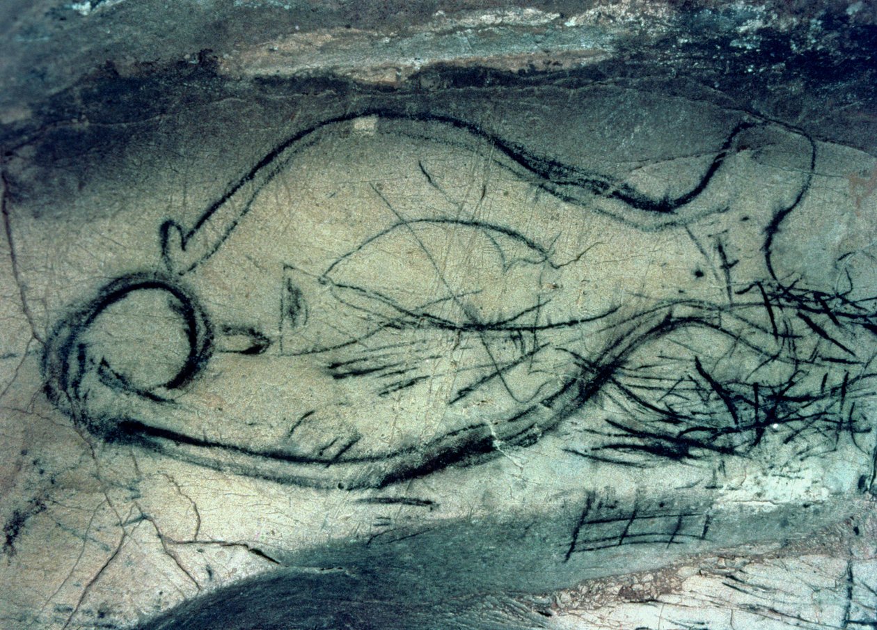 Deniz figürü, Paleolitik Dönem (MÖ 40000-12000) (fotoğraf) by Paleolithic Paleolithic